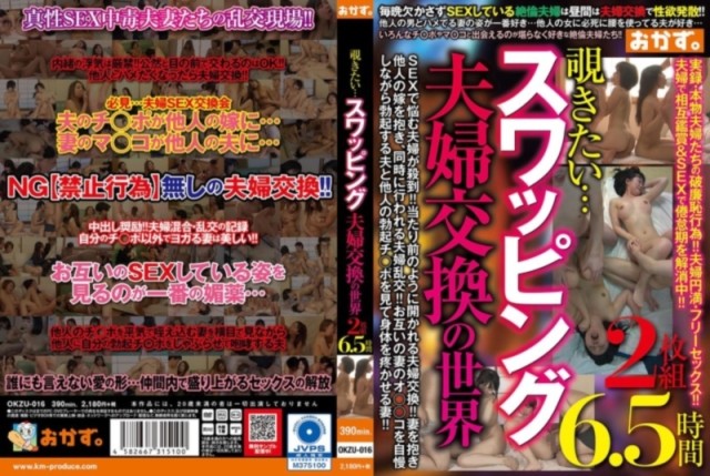 覗きたい… スワッピング夫婦交換の世界 2枚組6.5時間 D2